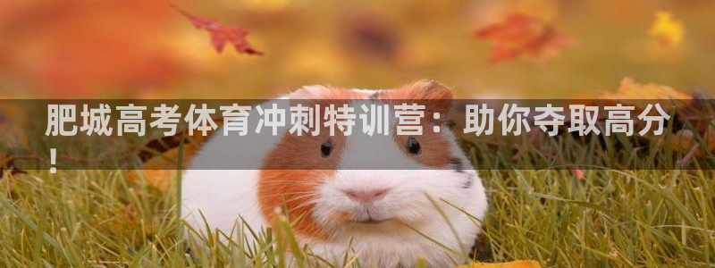 富联官方网站入口查询网址
