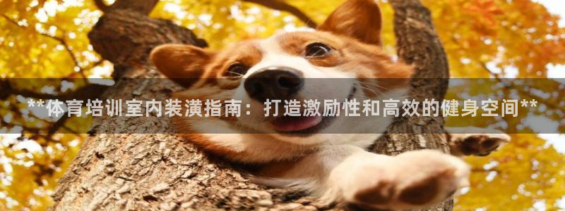 富联娱乐下载：**体育培训室内装潢指南：打造激励性和