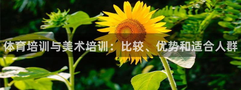 富联平台官网登录不了