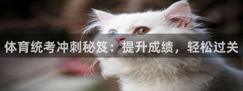 富联是什么股票板块：体育统考冲刺秘笈：提升成绩，轻松