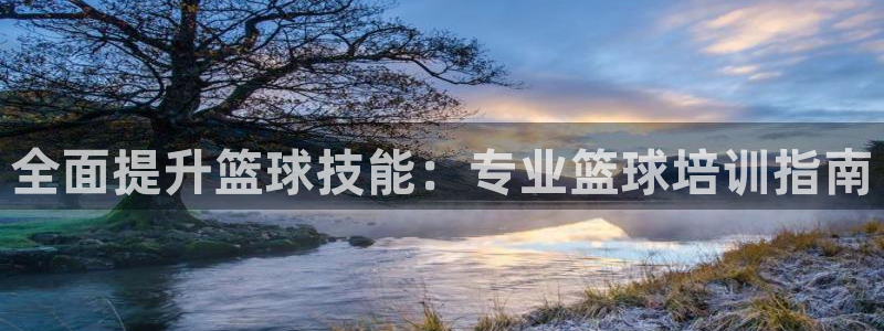 富联申购可以赚多少钱：全面提升篮球技能：专业篮球培训