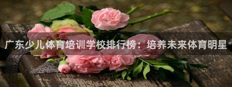 富联平台推荐 37oo735：广东少儿体育培训学校排