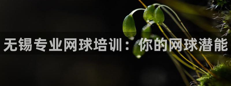 富联娱乐是什么时候开的股票：无锡专业网球培训：你的网