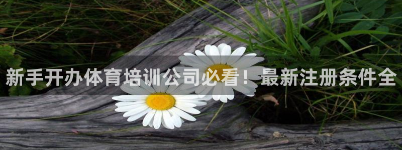 富联娱乐官方网站首页入口：新手开办体育培训公司必看！