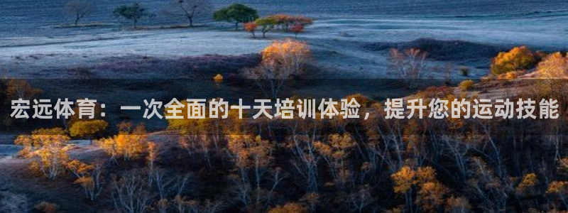 富联娱乐戚少风：宏远体育：一次全面的十天培训体验，提