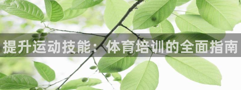 富联平台乙6.7.5.1.3.8：提升运动技能：体育
