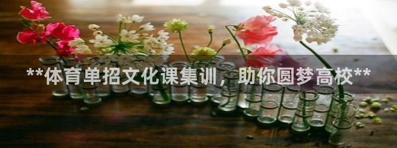 富联网是什么意思：**体育单招文化课集训，助你圆梦高