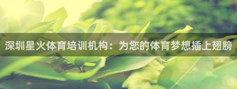 富联娱乐凡六七五一38：深圳星火体育培训机构：为您的