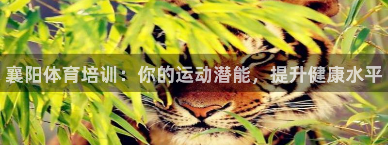 富联什么意思：襄阳体育培训：你的运动潜能，提升健康水