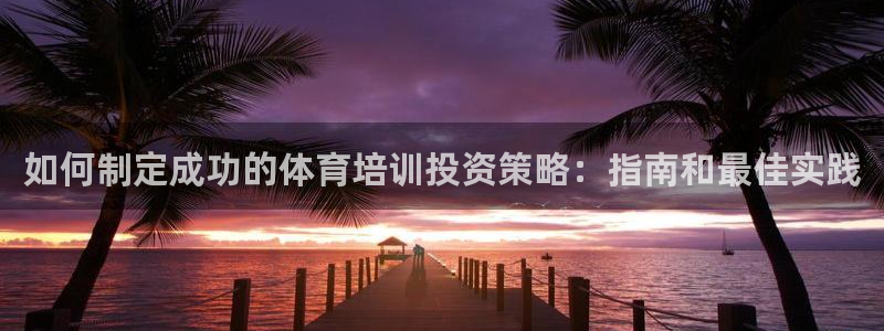 富联是什么软件：如何制定成功的体育培训投资策略：指南