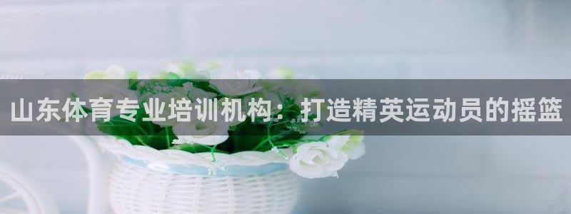 富联娱乐平台怎么样：山东体育专业培训机构：打造精英运
