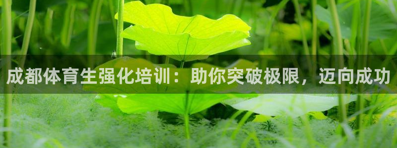 富联娱乐平台怎么样知乎：成都体育生强化培训：助你突破