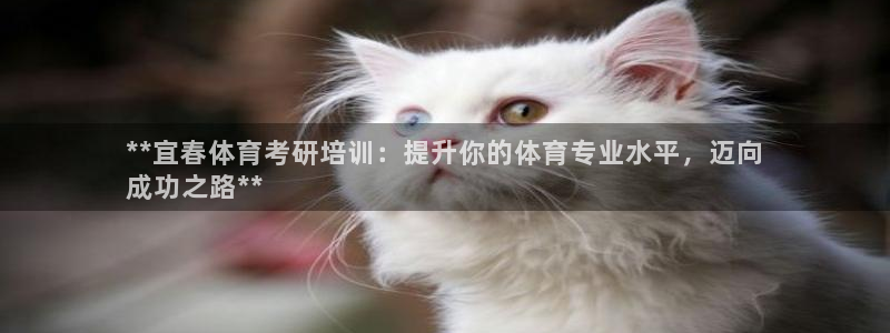 富联申购什么时间上市：**宜春体育考研培训：提升你的