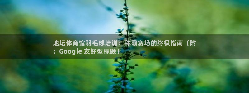 富联芯科技：地坛体育馆羽毛球培训：称霸赛场的终极指南