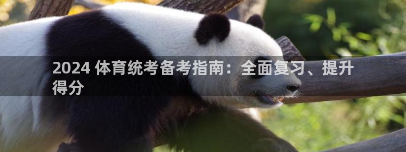 富联包装电话是多少：2024 体育统考备考指南：全面