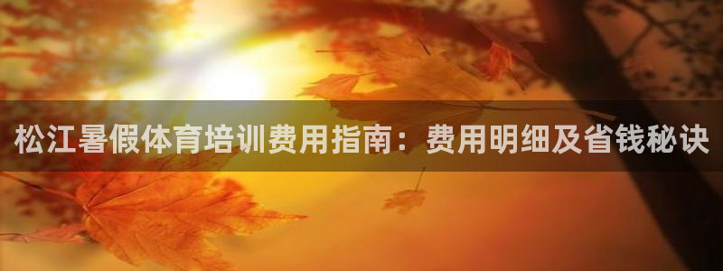富联娱乐平台开户条件要求：松江暑假体育培训费用指南：