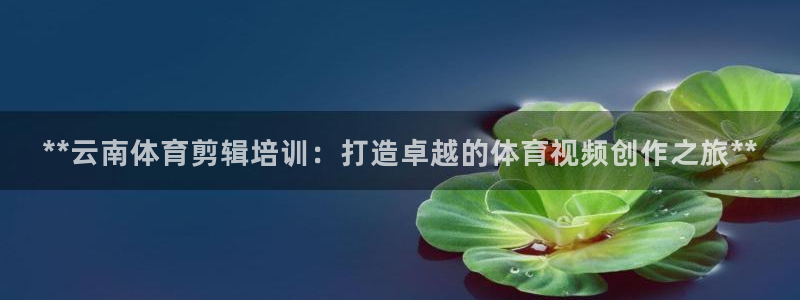 富联官方网站入口网址是多少：**云南体育剪辑培训：打