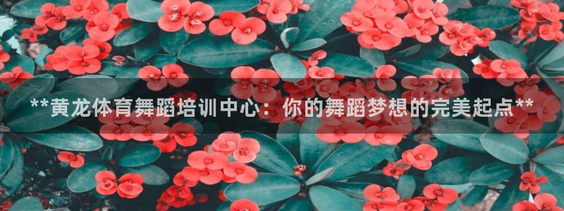 富联官网注册不了账号怎么办：**黄龙体育舞蹈培训中心