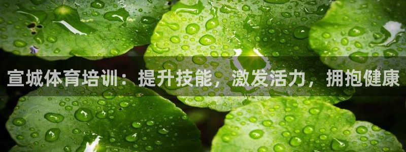 富联娱乐登陆：宣城体育培训：提升技能，激发活力，拥抱