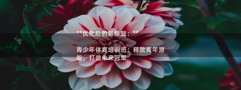 富联平台代理注册流程：**优化后的新标题：**

青