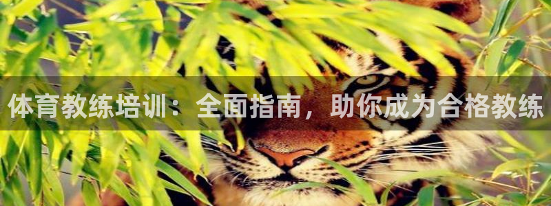 富联官网注册不了账号怎么办：体育教练培训：全面指南，
