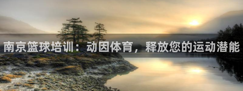 富联集团最新消息：南京篮球培训：动因体育，释放您的运