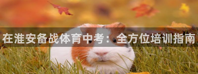 富联官方网站首页登录网址：在淮安备战体育中考：全方位