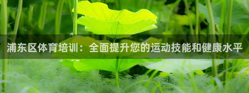 富联娱乐总代理电话：浦东区体育培训：全面提升您的运动