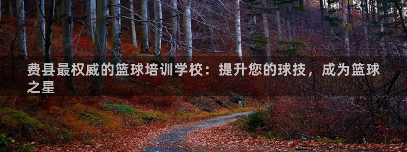 富联平台代理注册条件：费县最权威的篮球培训学校：提升
