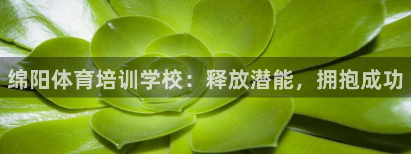 富联官方网站首页登录：绵阳体育培训学校：释放潜能，拥