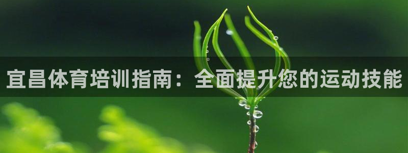 富联平台非7O777：宜昌体育培训指南：全面提升您的