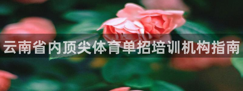 富联官网注册：云南省内顶尖体育单招培训机构指南