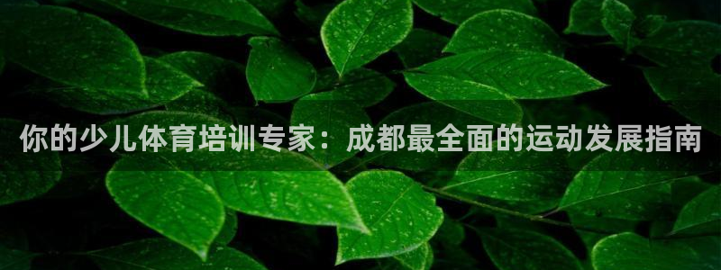 富联官方网站登录：你的少儿体育培训专家：成都最全面的