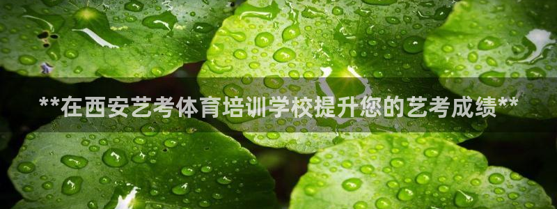 富联平台非7O777：**在西安艺考体育培训学校提升