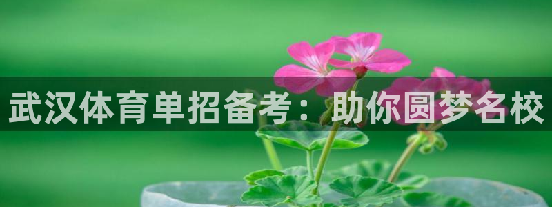 富联官方网站下载安装最新版：武汉体育单招备考：助你圆