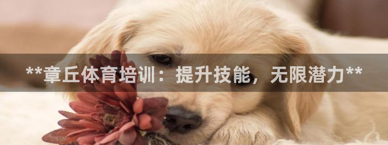 富联平台容7O777：**章丘体育培训：提升技能，无