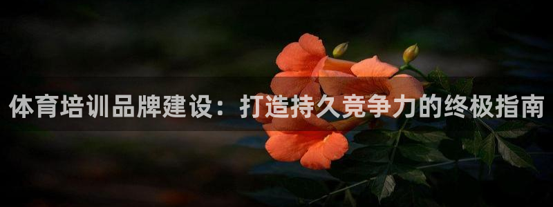 富联娱乐平台是什么：体育培训品牌建设：打造持久竞争力