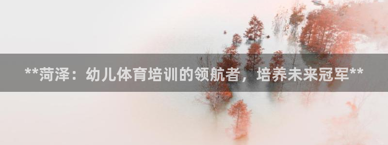富联官网注册：**菏泽：幼儿体育培训的领航者，培养未