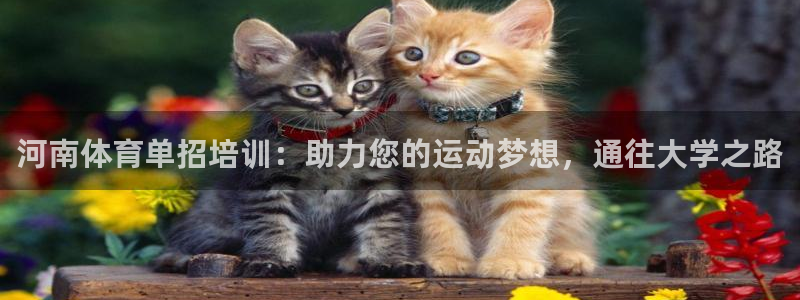 富联娱乐认 58534I 富联：河南体育单招培训：助