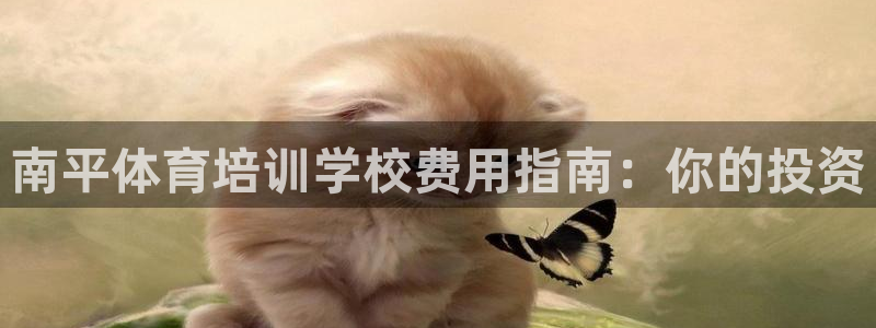 富联娱乐玩法机制是什么：南平体育培训学校费用指南：你
