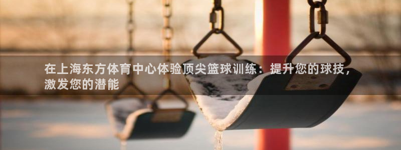 富联股份股票：在上海东方体育中心体验顶尖篮球训练：提