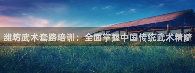 富联平台安装视频教程：潍坊武术套路培训：全面掌握中国