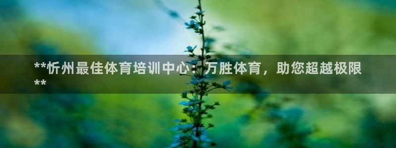 富联娱乐测速登录失败：**忻州最佳体育培训中心：万胜