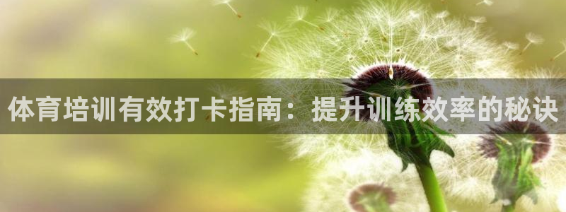 富联官方网站登录：体育培训有效打卡指南：提升训练效率