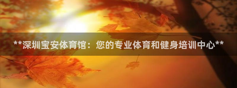 富联官网代理系列产品：**深圳宝安体育馆：您的专业体