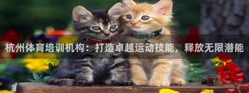 富联平台登录：杭州体育培训机构：打造卓越运动技能，释