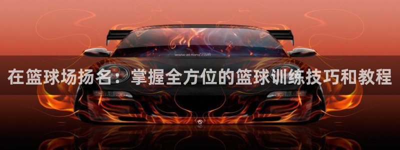 富联官方网站入口查询网址：在篮球场扬名：掌握全方位的