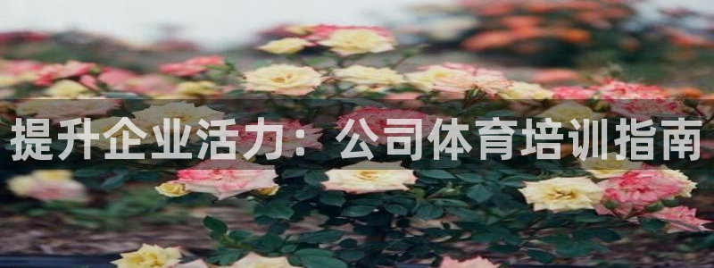 富联金融：提升企业活力：公司体育培训指南