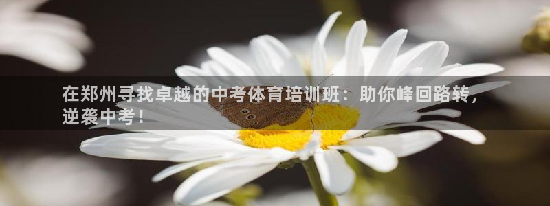 富联娱乐测速地址查询：在郑州寻找卓越的中考体育培训班