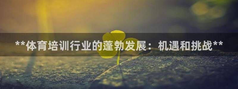 富联网是什么意思：**体育培训行业的蓬勃发展：机遇和